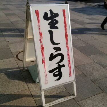鎌倉で生しらす丼とか食べて鶴岡八幡宮に行こう